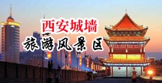 日本美女屄尿尿中国陕西-西安城墙旅游风景区